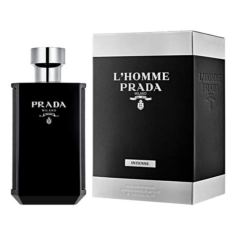 fragrantica Prada l'homme